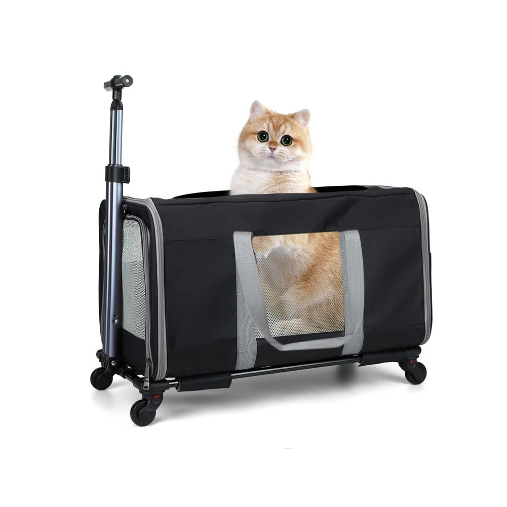Cat Trolley Bag For 2 Cats