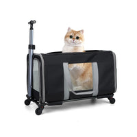 Cat Trolley Bag For 2 Cats