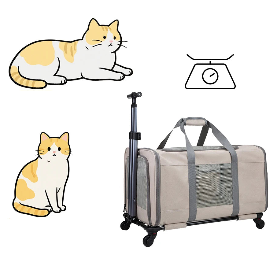 Cat Trolley Bag For 2 Cats