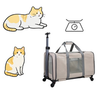 Cat Trolley Bag For 2 Cats