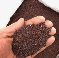 310+Colorful Climbing Rose Seeds
