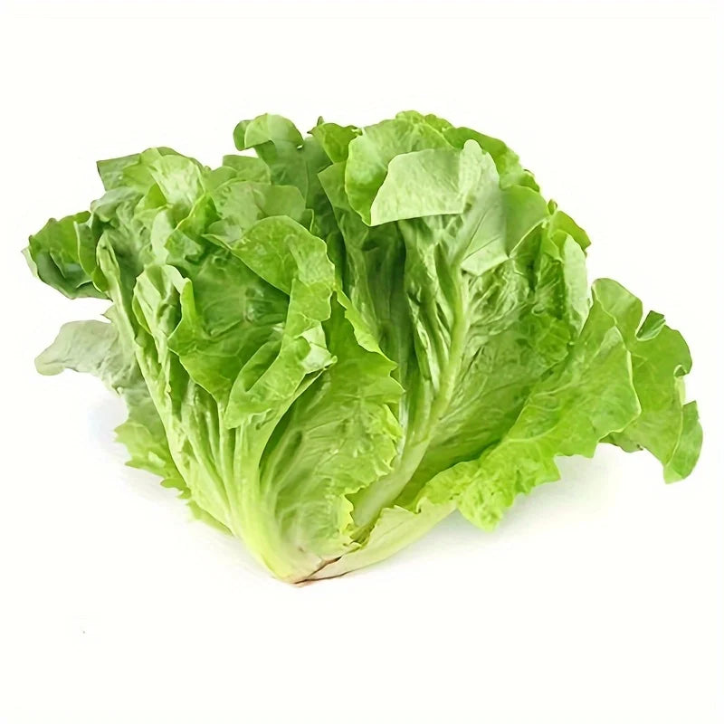 Fresh Vegetable Seeds