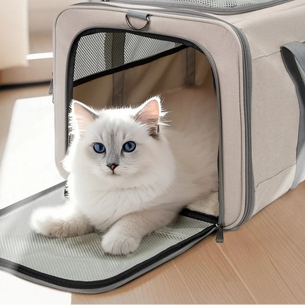 Cat Trolley Bag For 2 Cats