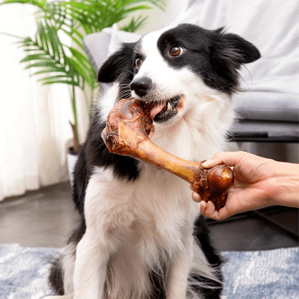 All Natural Ingredients Middle Large Cow Bone