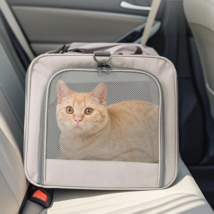 Cat Trolley Bag For 2 Cats