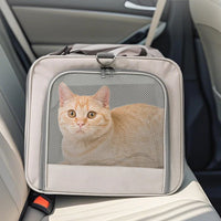 Cat Trolley Bag For 2 Cats