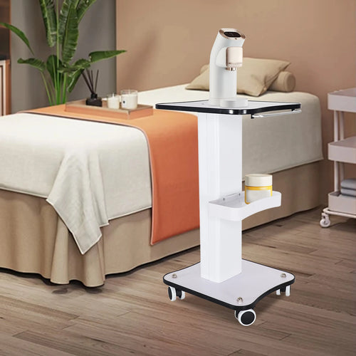 Auxiliary Trolley Organizer Stand