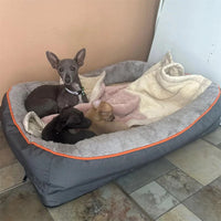 Jumbo Large Orthopedic Dog Bed
