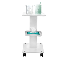 Auxiliary Trolley Organizer Stand