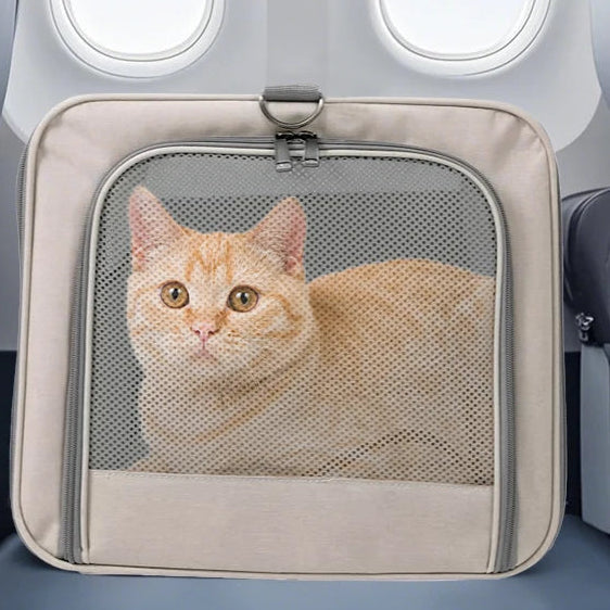 Cat Trolley Bag For 2 Cats