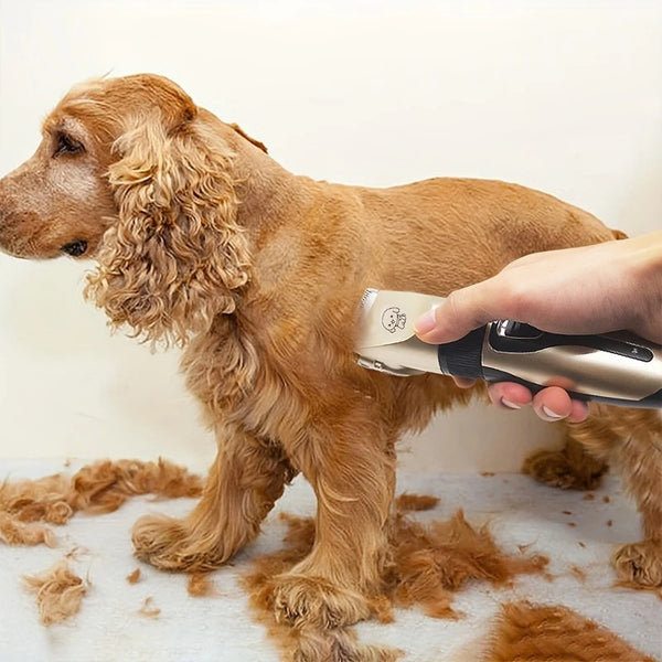 Pet Hair Trimmer
