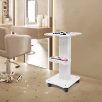 Auxiliary Trolley Organizer Stand
